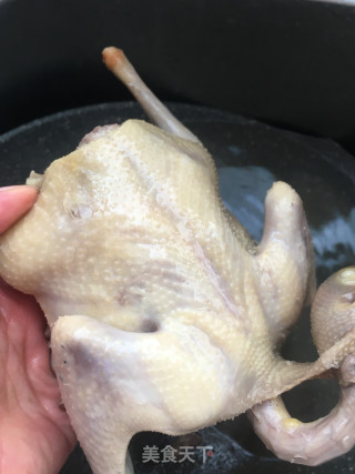 山药豆炖鸽子的做法步骤：8