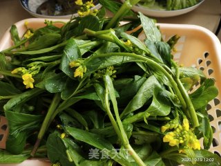 清炒油菜花的做法步骤：1
