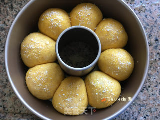 南瓜全麦面包的做法步骤：8