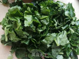 蒸白萝卜叶的做法步骤：4
