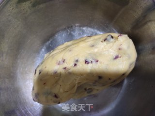 蔓越莓饼干的做法步骤：5