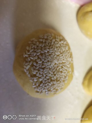 南瓜鸡肉面包的做法步骤：8