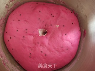 火龙果麻薯软欧包的做法步骤：13