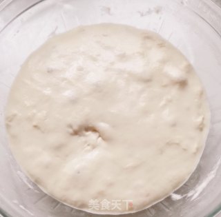 太阳花豆沙面包（波兰种）的做法步骤：3