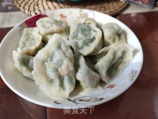 猪肉韭菜三鲜饺子的做法步骤：19