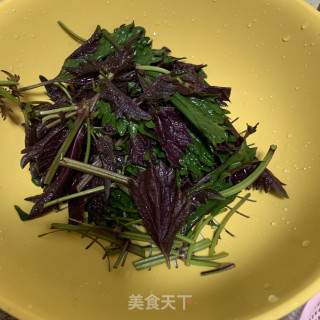 紫苏焖鸭的做法步骤：5