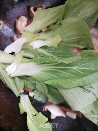 素炒香菇的做法步骤：5