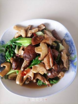 素炒香菇的做法步骤：7