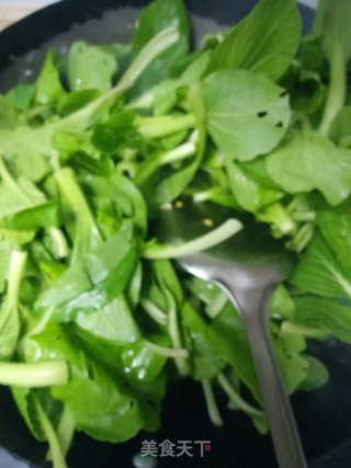 小青菜炒鸡蛋的做法步骤：4