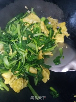 小青菜炒鸡蛋的做法步骤：7