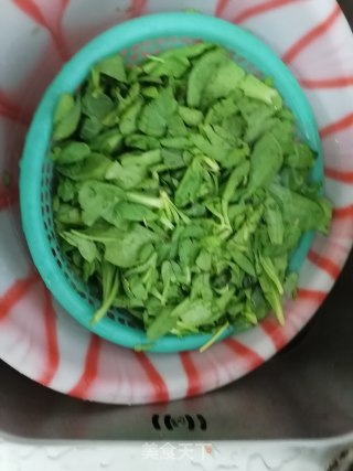 素炒茼蒿的做法步骤：2