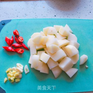 咖喱鸡肉炖土豆的做法步骤：4