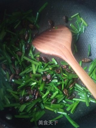 韭菜炒蚕蛹的做法步骤：9