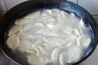 马肉馅水饺的做法步骤：5