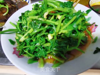 凉拌香菜的做法步骤：6
