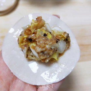 白菜肉馅饺子的做法步骤：8