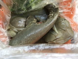 芫荽爆羊肝的做法步骤：4