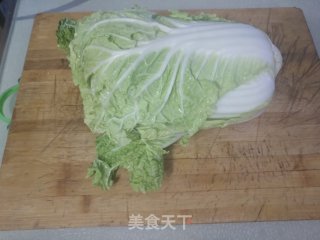 白菜猪肉炖粉条的做法步骤：3