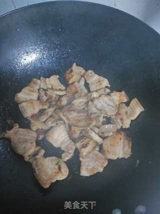 白菜猪肉炖粉条的做法步骤：7