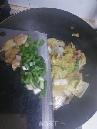白菜猪肉炖粉条的做法步骤：9