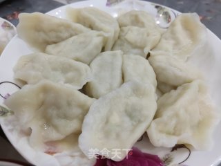 白菜素水饺的做法步骤：20