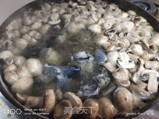 蘑菇乌鸡人参汤的做法步骤：2