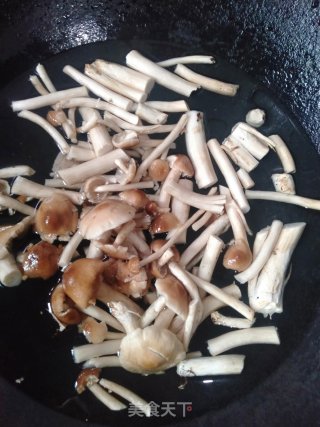 干锅茶树菇的做法步骤：2