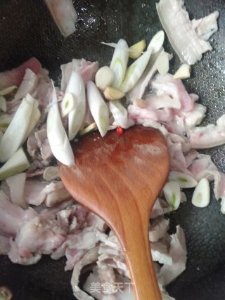干锅茶树菇的做法步骤：5