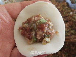 白菜猪肉饺子的做法步骤：12