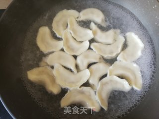 白菜猪肉饺子的做法步骤：16