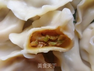 白菜猪肉饺子的做法步骤：19