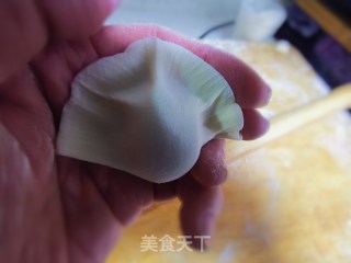 羊肉白菜馅水饺的做法步骤：11