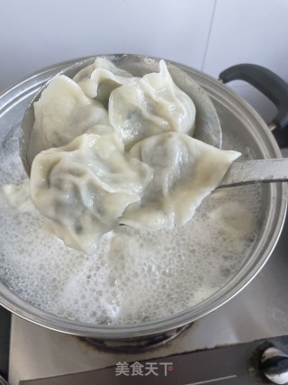 暖冬猪肉荠菜饺子的做法步骤：12