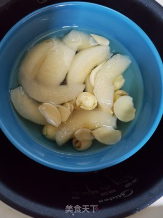 百合莲子炖梨子的做法步骤：4