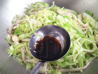 圆白菜烧杏鲍菇的做法步骤：4