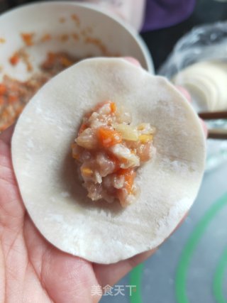 懒人什锦饺子的做法步骤：11