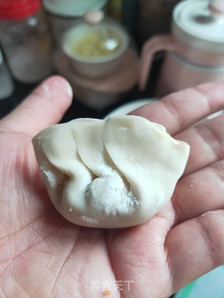 懒人什锦饺子的做法步骤：12