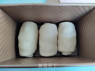 一发椰子油葡萄干吐司的做法步骤：9