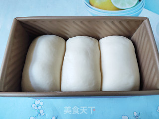 一发椰子油葡萄干吐司的做法步骤：10