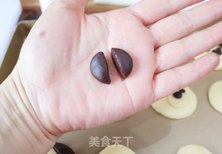 小动物曲奇的做法步骤：10