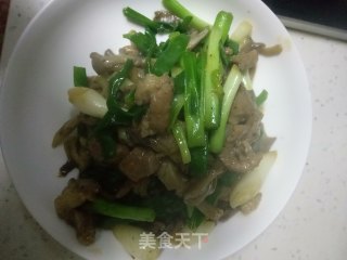 平菇炒肉丝的做法步骤：7