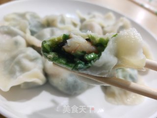 韭菜虾仁饺子的做法步骤：12