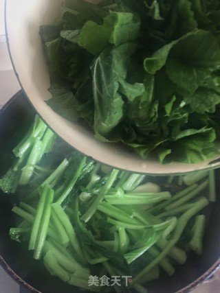 清炒春菜的做法步骤：6
