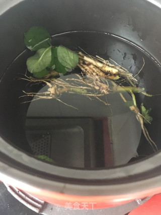 土人参冬笋乌鸡汤的做法步骤：4
