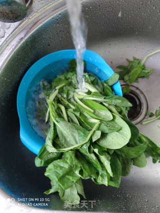 蒜香菜心的做法步骤：1