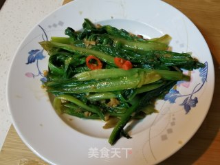 简单快手炒油麦菜的做法步骤：6