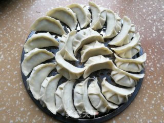 鲜肉香菇白菜饺子的做法步骤：12