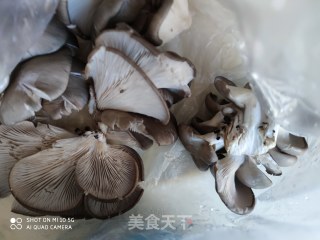 孜然平菇的做法步骤：1