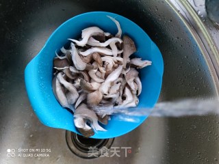孜然平菇的做法步骤：2