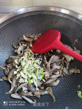 孜然平菇的做法步骤：7